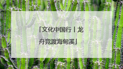 文化中国行丨龙舟竞渡海甸溪