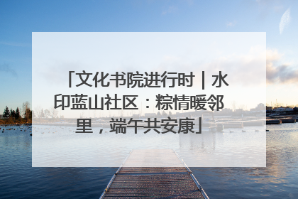 文化书院进行时｜水印蓝山社区：粽情暖邻里，端午共安康