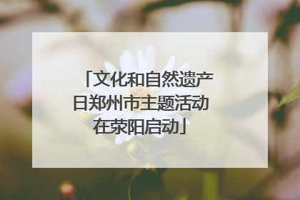 文化和自然遗产日郑州市主题活动在荥阳启动