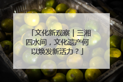文化新观察｜三湘四水间，文化遗产何以焕发新活力？