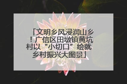文明乡风浸润山乡！广信区田墩镇黄坑村以“小切口”绘就乡村振兴大图景