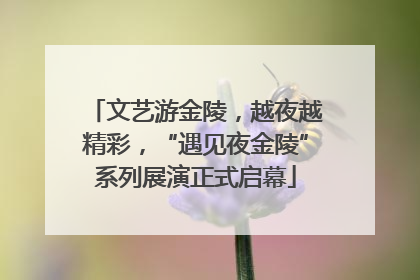 文艺游金陵，越夜越精彩，“遇见夜金陵”系列展演正式启幕