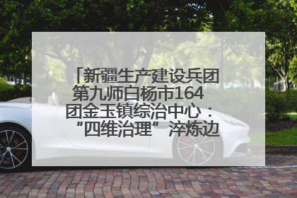 新疆生产建设兵团第九师白杨市164团金玉镇综治中心：“四维治理”淬炼边疆“枫桥样本”