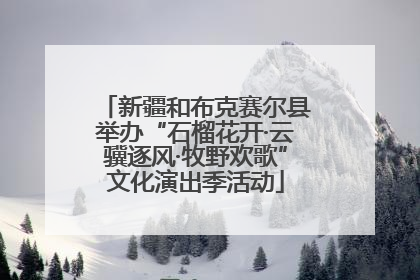 新疆和布克赛尔县举办“石榴花开·云骥逐风·牧野欢歌”文化演出季活动