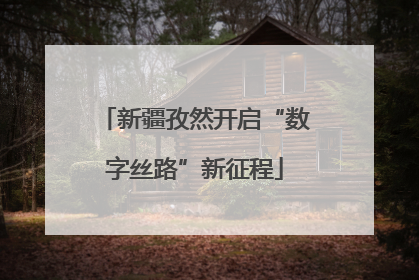 新疆孜然开启“数字丝路”新征程