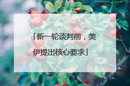 新一轮谈判前，美伊提出核心要求