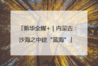 新华全媒+｜内蒙古：沙海之中建“蓝海”