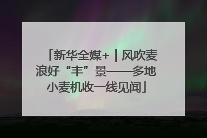新华全媒+｜风吹麦浪好“丰”景——多地小麦机收一线见闻