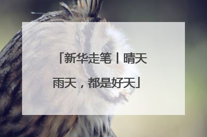 新华走笔丨晴天雨天，都是好天