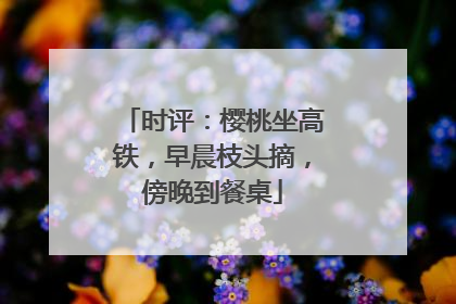 时评：樱桃坐高铁，早晨枝头摘，傍晚到餐桌