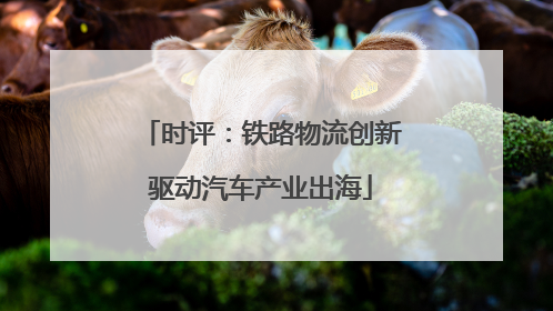时评：铁路物流创新驱动汽车产业出海