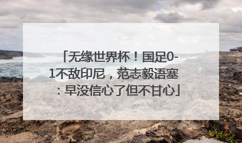 无缘世界杯！国足0-1不敌印尼，范志毅语塞：早没信心了但不甘心