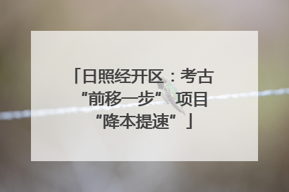 日照经开区：考古“前移一步” 项目“降本提速”