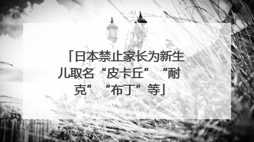 日本禁止家长为新生儿取名“皮卡丘”“耐克”“布丁”等