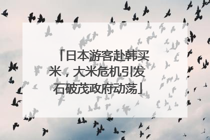 日本游客赴韩买米，大米危机引发石破茂政府动荡