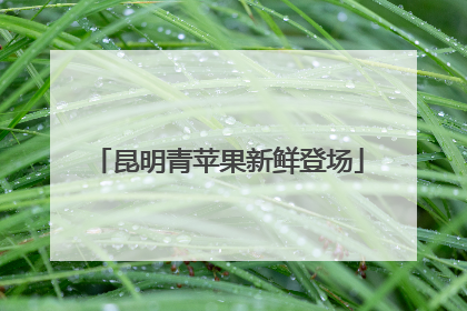 昆明青苹果新鲜登场