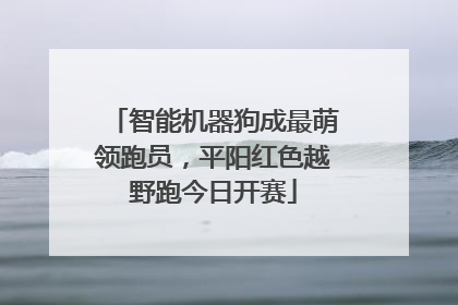 智能机器狗成最萌领跑员，平阳红色越野跑今日开赛
