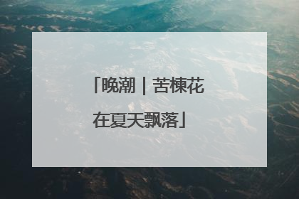 晚潮｜苦楝花在夏天飘落