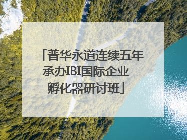 普华永道连续五年承办IBI国际企业孵化器研讨班