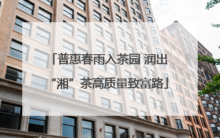 普惠春雨入茶园 润出“湘”茶高质量致富路