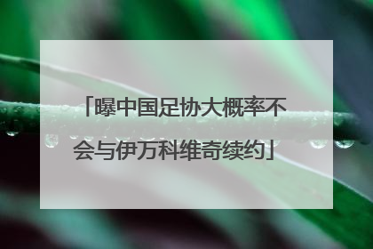 曝中国足协大概率不会与伊万科维奇续约