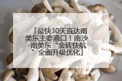 最快30天直达南美东主要港口！南沙-南美东“金砖快航”全面升级优化