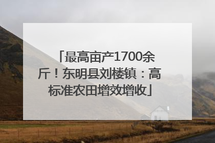 最高亩产1700余斤！东明县刘楼镇：高标准农田增效增收