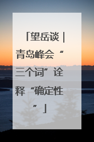 望岳谈｜青岛峰会“三个词”诠释“确定性”