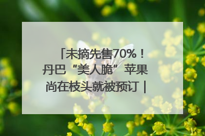 未摘先售70%！丹巴“美人脆”苹果尚在枝头就被预订｜长征路上看四川