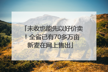 未收也能先以好价卖！全省已有70多万亩新麦在网上售出