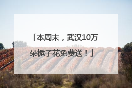 本周末，武汉10万朵栀子花免费送！