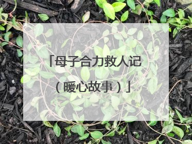 母子合力救人记（暖心故事）