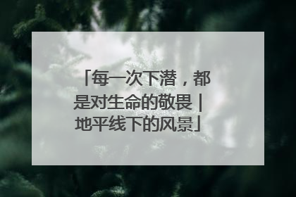 每一次下潜，都是对生命的敬畏｜地平线下的风景