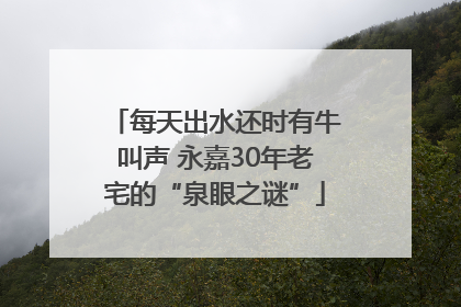 每天出水还时有牛叫声 永嘉30年老宅的“泉眼之谜”
