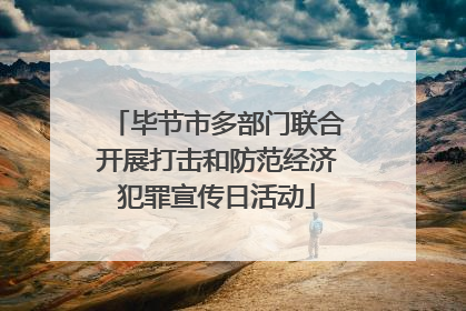 毕节市多部门联合开展打击和防范经济犯罪宣传日活动