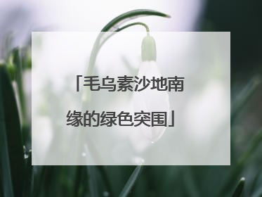 毛乌素沙地南缘的绿色突围