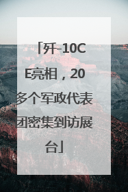 歼-10CE亮相，20多个军政代表团密集到访展台