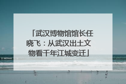 武汉博物馆馆长任晓飞：从武汉出土文物看千年江城变迁
