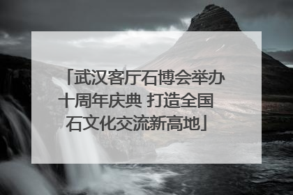 武汉客厅石博会举办十周年庆典 打造全国石文化交流新高地