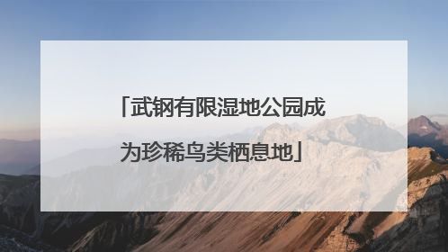 武钢有限湿地公园成为珍稀鸟类栖息地