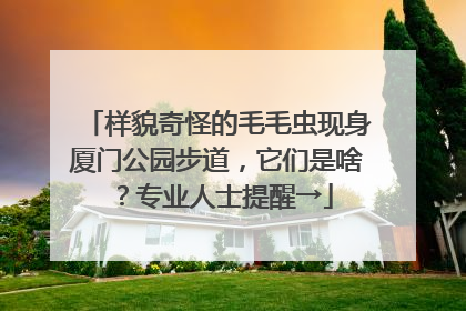 样貌奇怪的毛毛虫现身厦门公园步道，它们是啥？专业人士提醒→