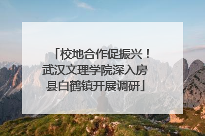 校地合作促振兴！武汉文理学院深入房县白鹤镇开展调研