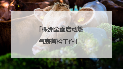 株洲全面启动燃气表首检工作