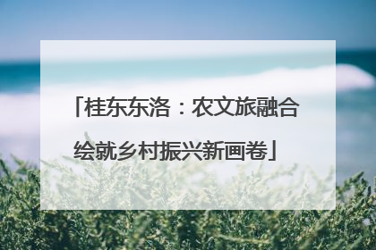 桂东东洛：农文旅融合绘就乡村振兴新画卷