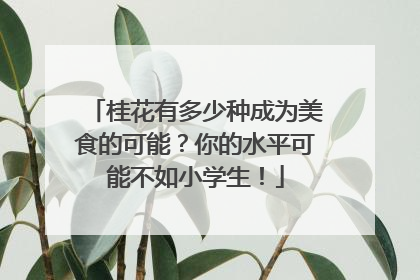 桂花有多少种成为美食的可能？你的水平可能不如小学生！