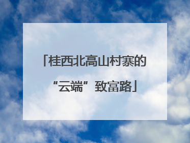 桂西北高山村寨的“云端”致富路