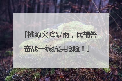 桃源突降暴雨，民辅警奋战一线抗洪抢险！
