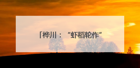 桦川：“虾稻轮作”铺开乡村振兴新画卷