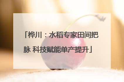 桦川：水稻专家田间把脉 科技赋能单产提升