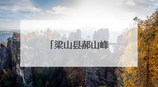 梁山县郝山峰社区开展“幸福友邻 粽香端午”包粽子活动